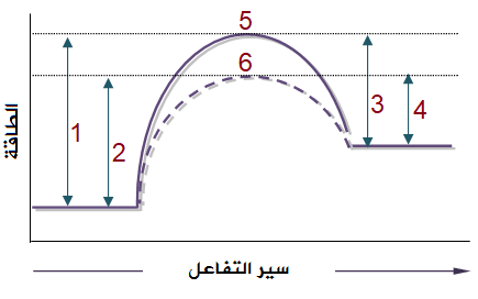 أثر العامل المساعد في سرعة التفاعل